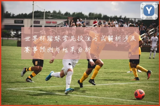 世界杯赌球常见投注方式解析涉及赛事预测与结果分析