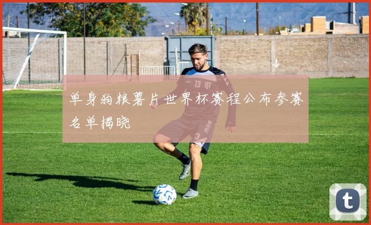 单身狗粮薯片世界杯赛程公布参赛名单揭晓